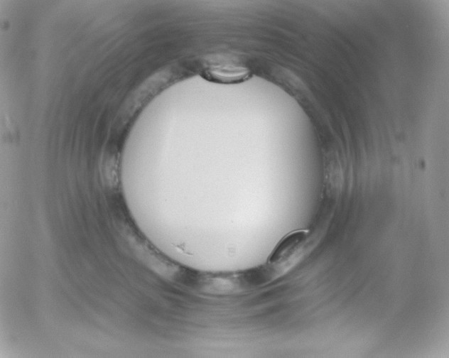 X0000052610285200507221707