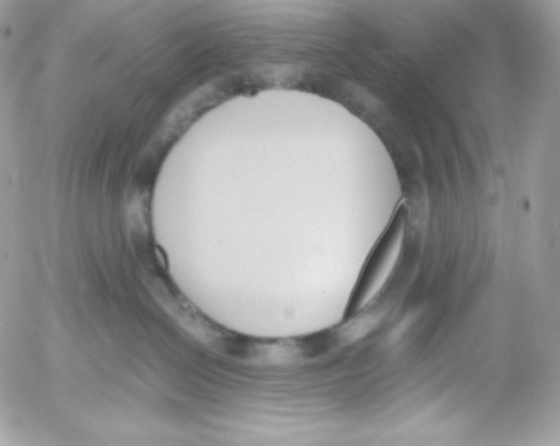 X0000052610286200507221707