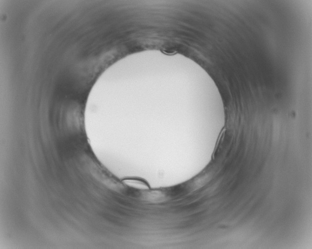 X0000052610287200507221707