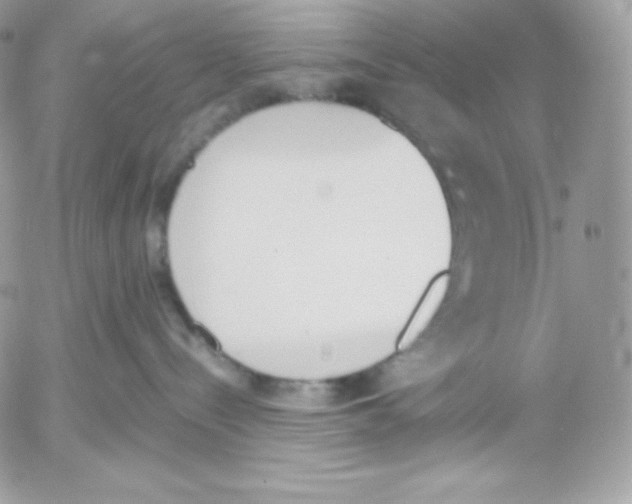 X0000052610288200507221707