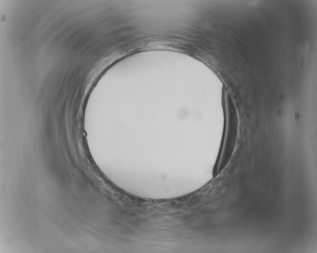 X0000052610289200507221706