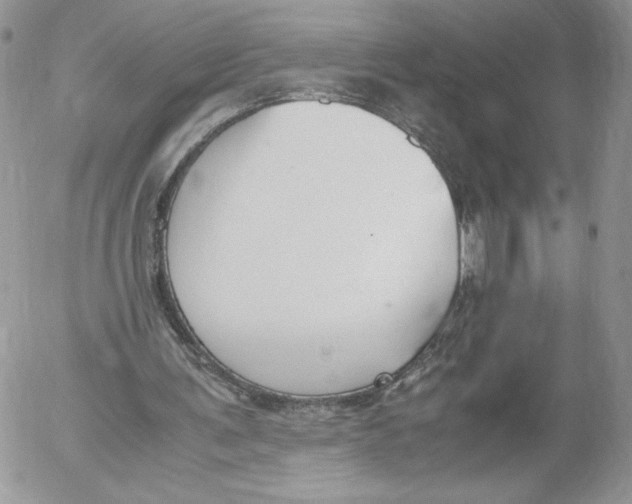 X0000052610291200507221706