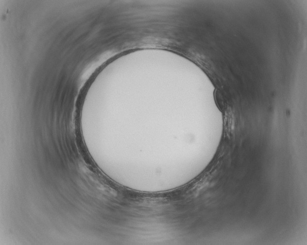 X0000052610292200507221706