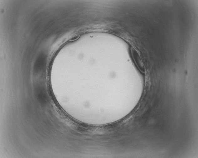 X0000052610293200507221706