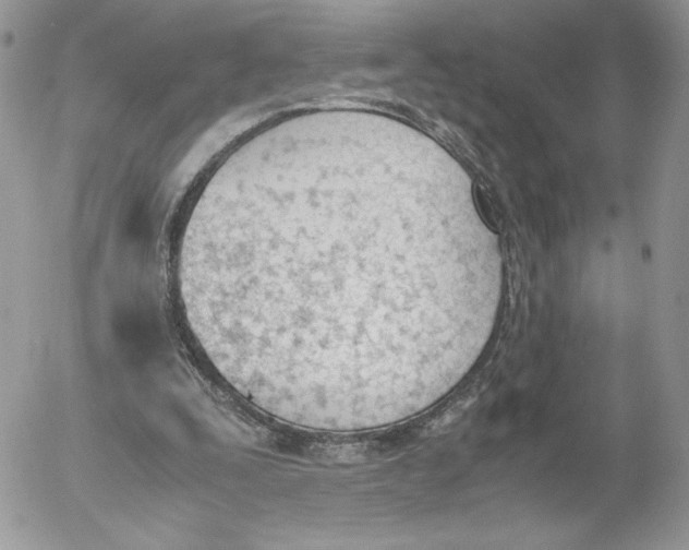 X0000052610295200507221706