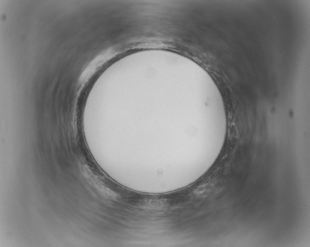 X0000052610296200507221706