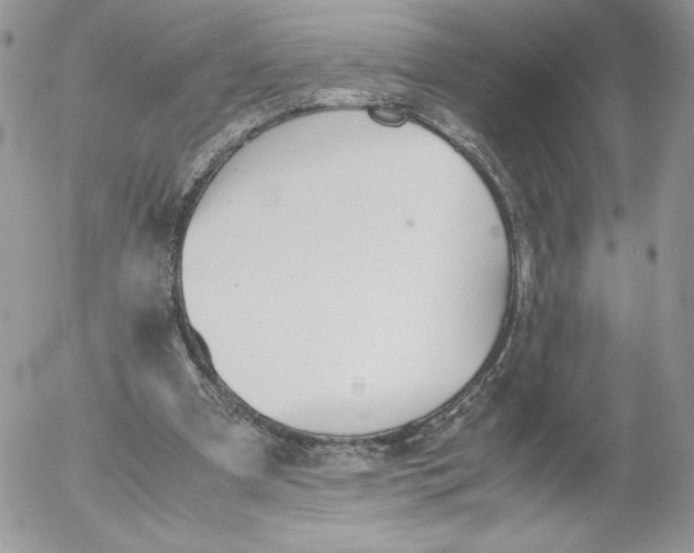 X0000052610297200507221706