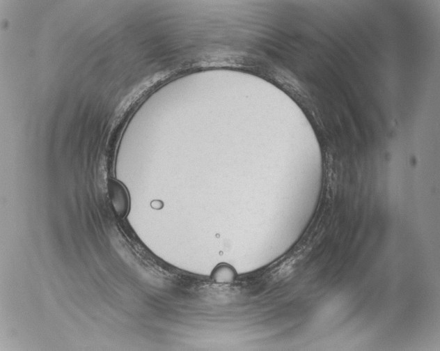 X0000052610298200507221706