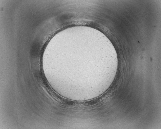 X0000052610299200507221706