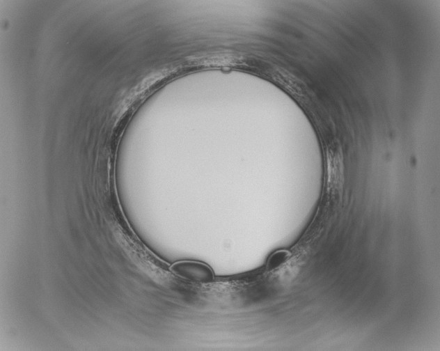 X0000052610301200507221706