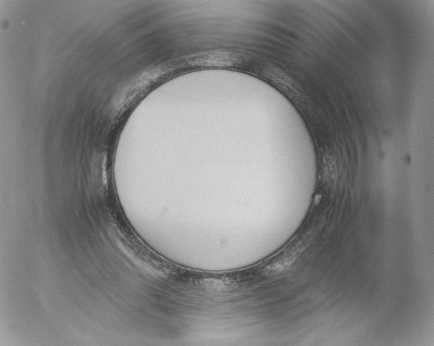 X0000052610302200507221706