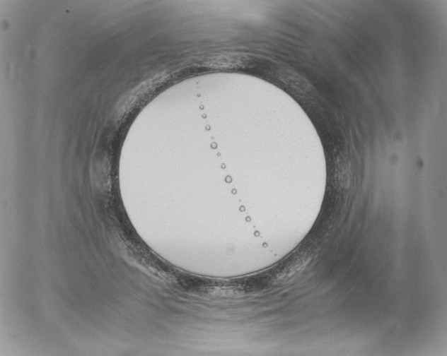 X0000052610303200507221706