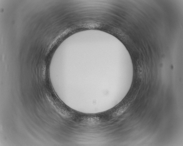 X0000052610304200507221706