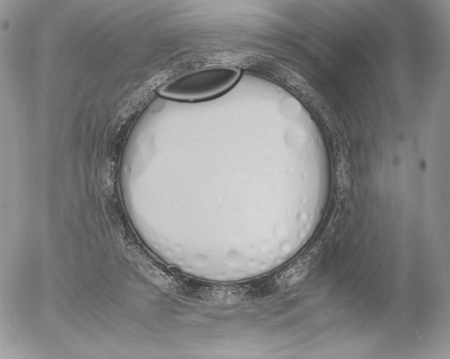 X0000052610305200507221706