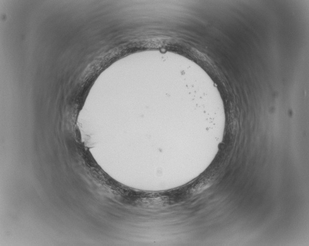 X0000052610307200507221706