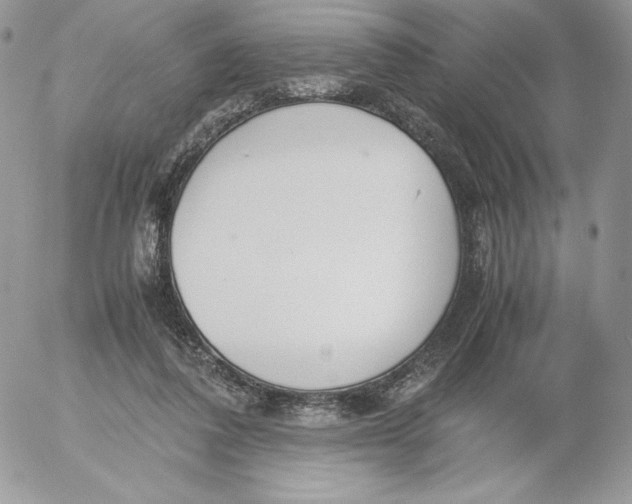 X0000052610308200507221706