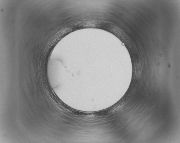 X0000052610309200507221706