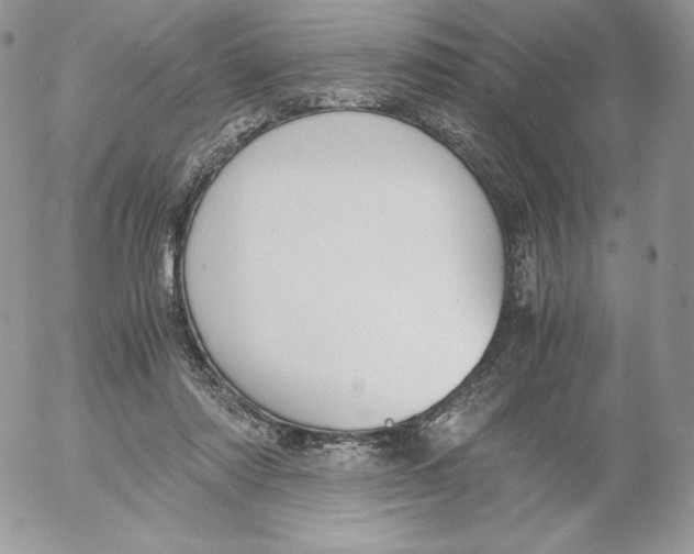 X0000052610310200507221706