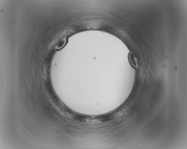 X0000052610311200507221706