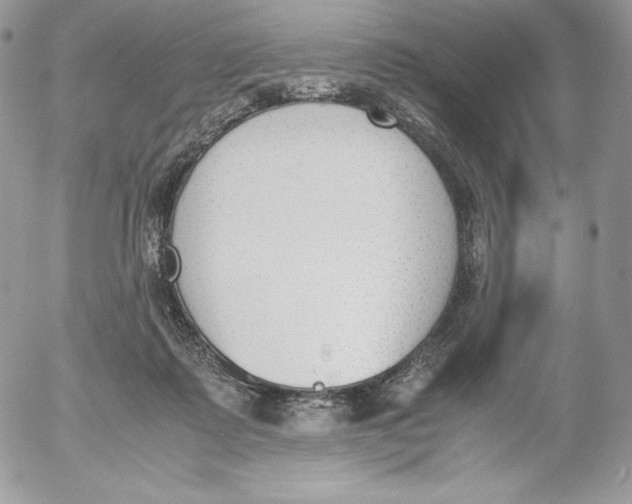 X0000052610315200507221706