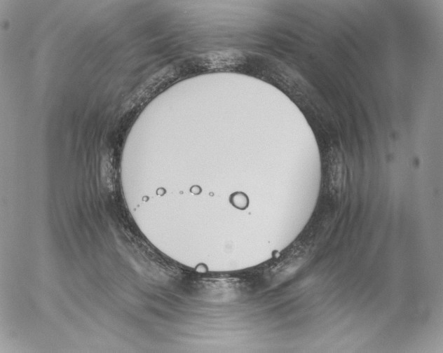 X0000052610316200507221706