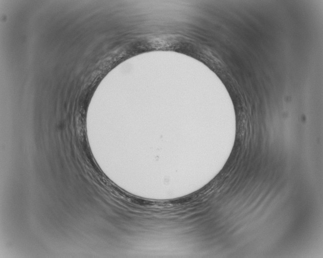 X0000052610317200507221706