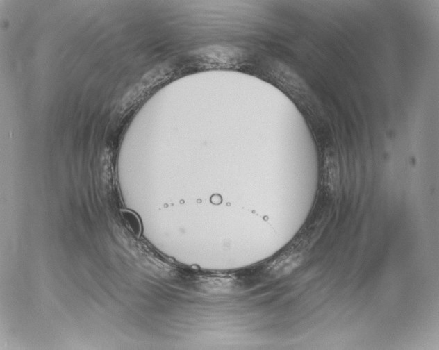 X0000052610318200507221706