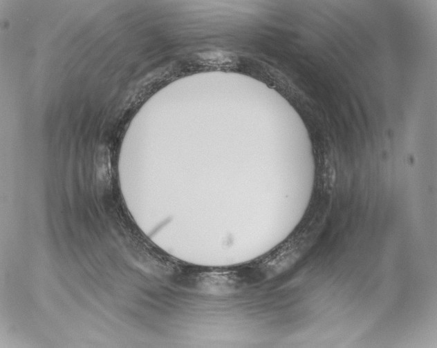 X0000052610320200507221706