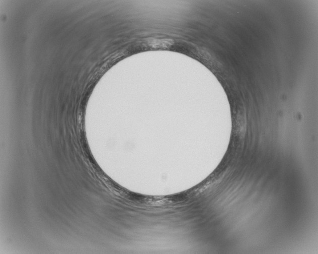 X0000052610321200507221706