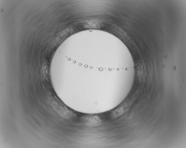 X0000052610322200507221705