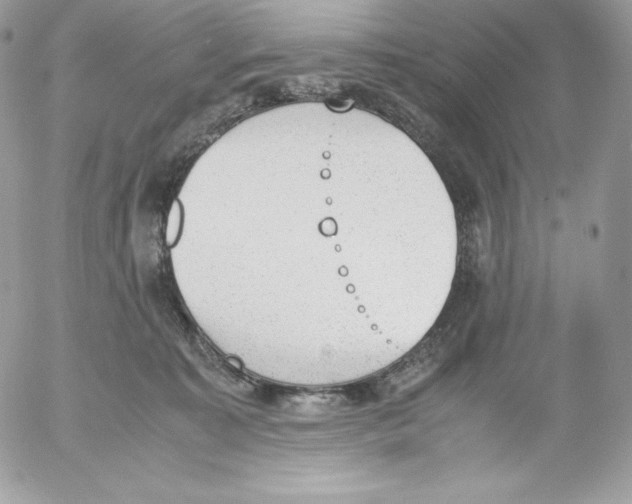 X0000052610323200507221705