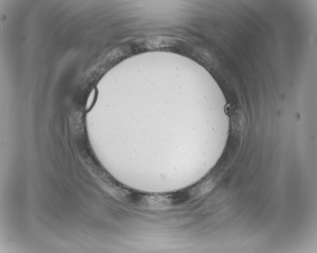 X0000052610327200507221705