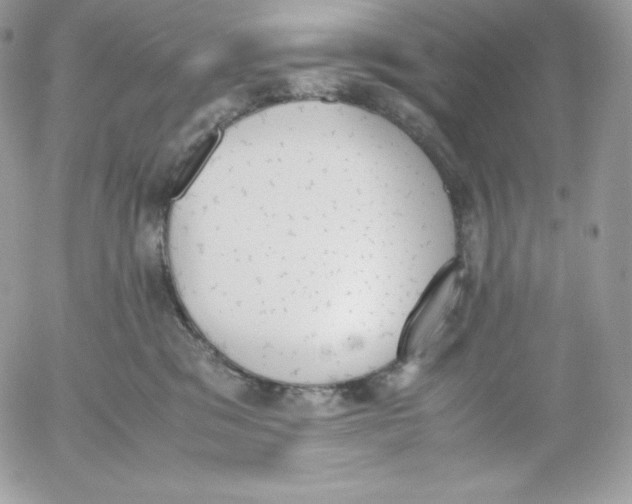 X0000052610329200507221705