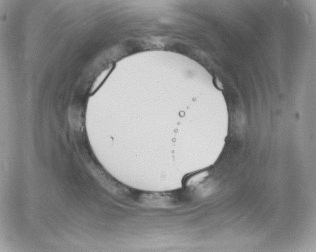 X0000052610331200507221705