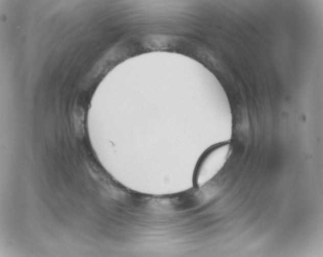 X0000052610332200507221705