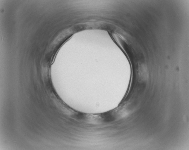 X0000052610333200507221705