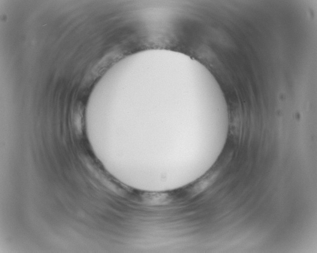 X0000052610334200507221705