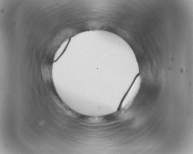 X0000052610335200507221705