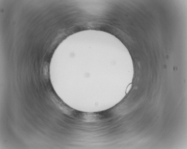 X0000052610336200507221705