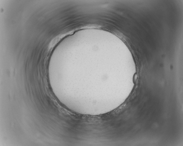 X0000052610337200507221704