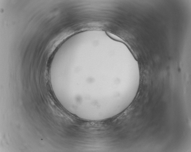 X0000052610338200507221704