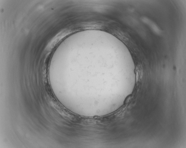 X0000052610339200507221704