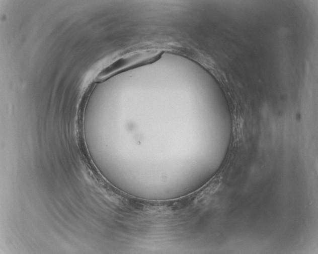 X0000052610340200507221705