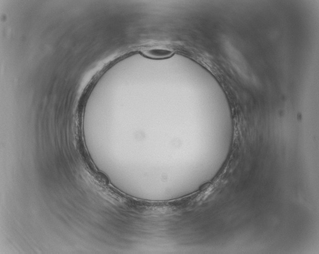 X0000052610342200507221705