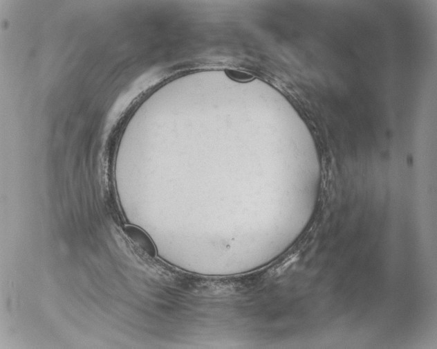 X0000052610343200507221705