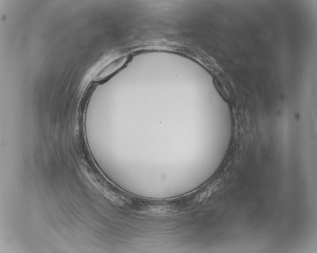 X0000052610344200507221705