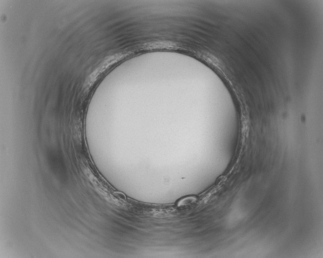 X0000052610345200507221705