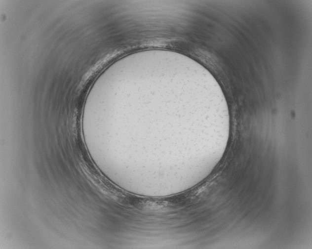 X0000052610346200507221705