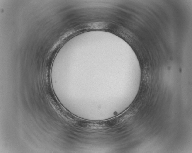 X0000052610347200507221705