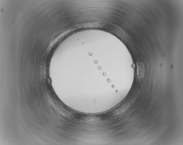 X0000052610348200507221705